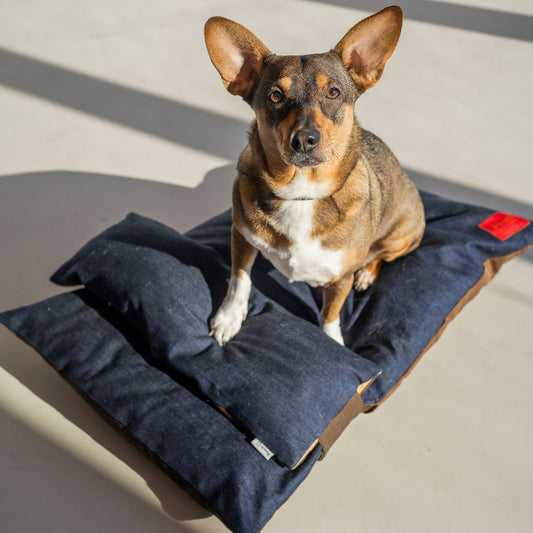 Wanda dog bed