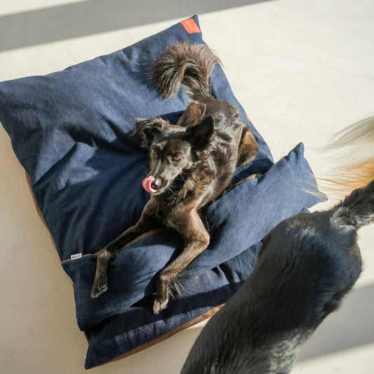 Bed + Bolster